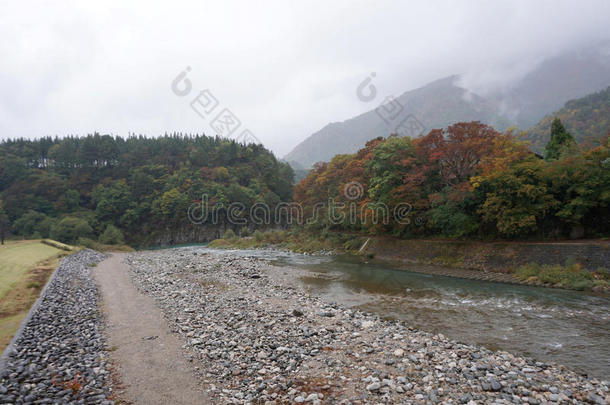 石川村沿河美丽的秋树