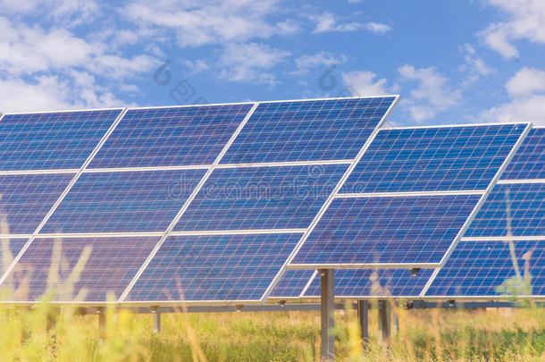 蓝天可再生太阳能发电厂