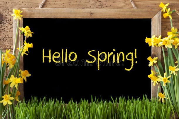 水仙花，黑板，文字你好春天