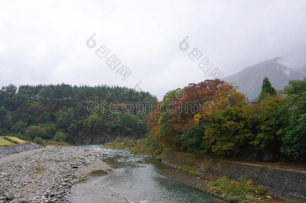 石川村<strong>沿河</strong>美丽的秋树