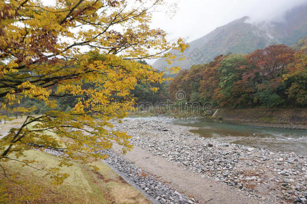 石川村<strong>沿河</strong>美丽的秋树