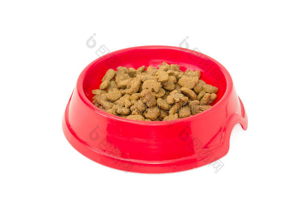 在红色塑料碗里干猫粮