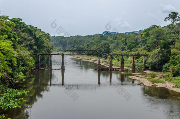 摇摇欲坠的铁和混凝土步行桥跨越大河在喀麦隆，非洲雨林