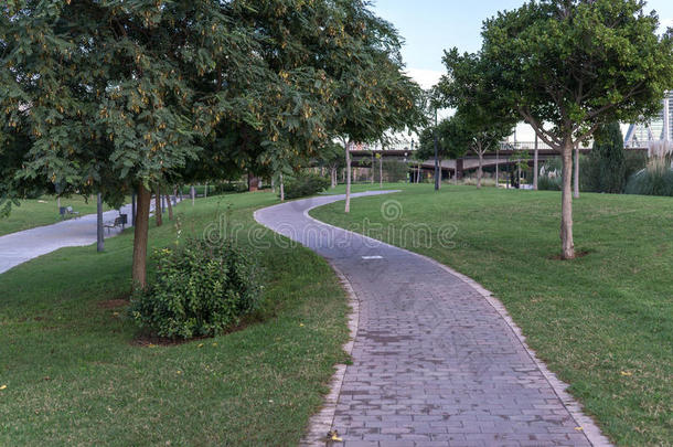 西班牙巴伦西亚贾丁德尔图里亚树木之间的自行车道。 草地上的瓷砖自行车道，骑自行车的自行车道