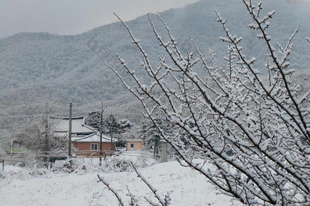 房子<strong>韩国韩国</strong>人山雪