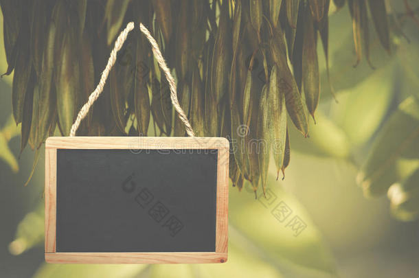 挂在树上的黑色粉笔板。