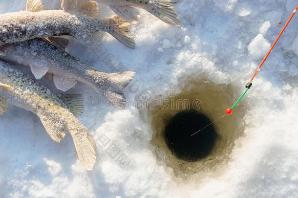 冬天钓鱼时，冰上的鱼和鱼竿靠近洞
