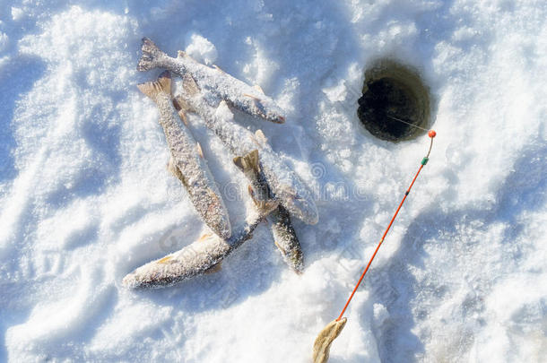 冬天钓鱼时，冰上的鱼和鱼竿靠近洞