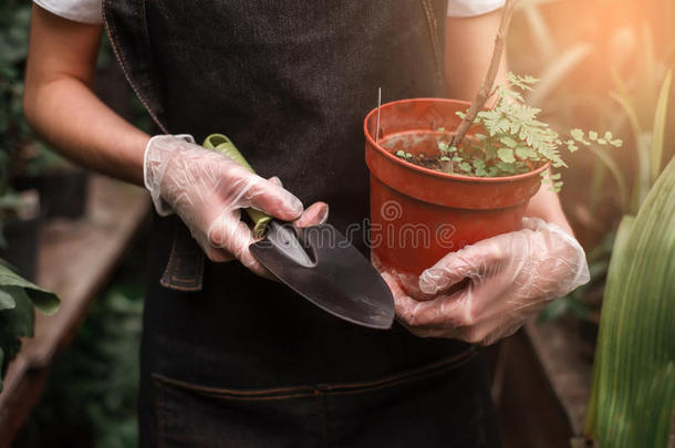 园丁`手拿着盆栽和铲子