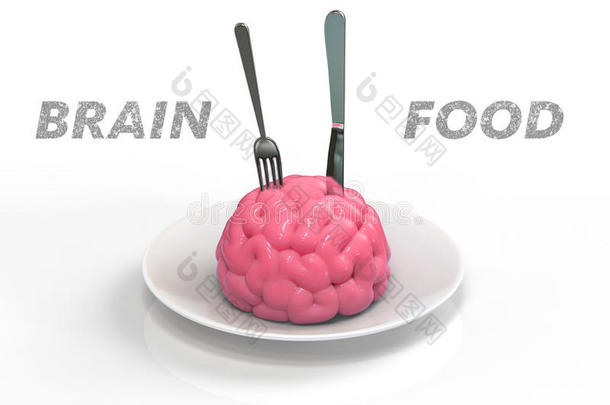 大脑食物三维插图