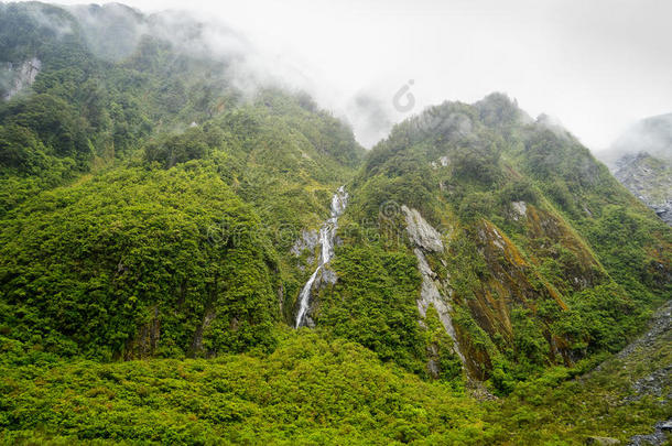 <strong>森林狐狸</strong>冰川岛风景