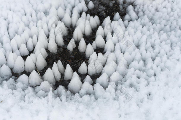 冰冻的冰图案在雪上的水照片。 白色<strong>冬菇</strong>。