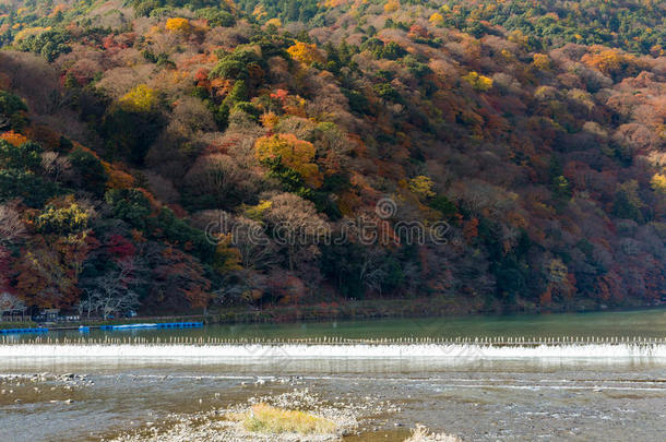 冒险海拔高度岚山<strong>荒山</strong>秋天