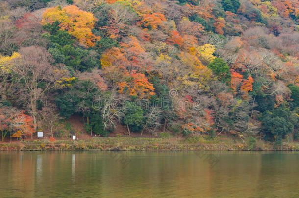 冒险海拔高度岚山荒山秋天