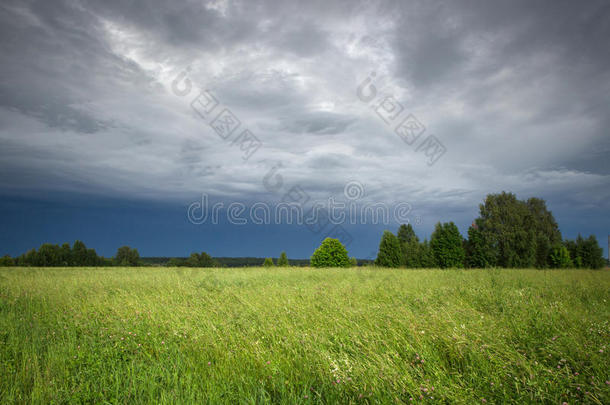 暴风雨后的绿色田野和天空