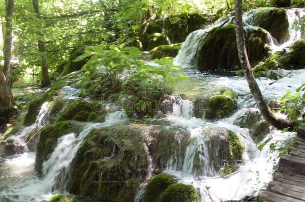 湖岸五彩缤纷、生机勃勃的景观。 宁静的景观作为背景有用。 下湖峡谷。 普利特夫湖国家