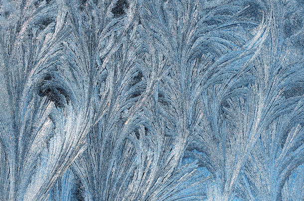 以毛茸茸的树枝和羽毛的形式从玻璃上的霜状图案中提取背景