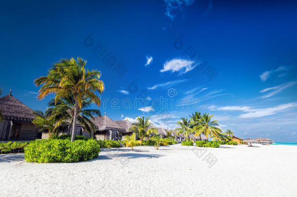 马尔代夫一个小岛度假胜地有椰子树和别墅的海滩