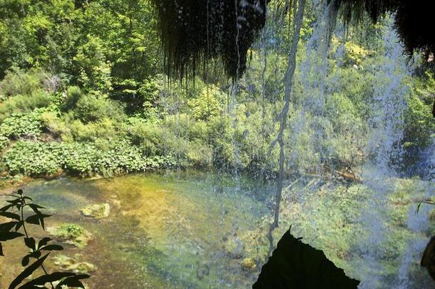 湖岸五彩缤纷、生机勃勃的景观。 宁静的景观作为背景有用。 下湖峡谷。 普利特夫湖国家