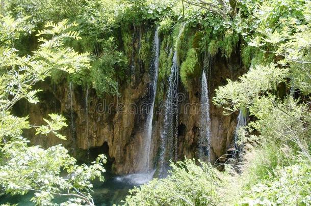 湖岸五彩缤纷、生机勃勃的景观。 宁静的景观作为背景有用。 下湖峡谷。 普利特夫湖国家