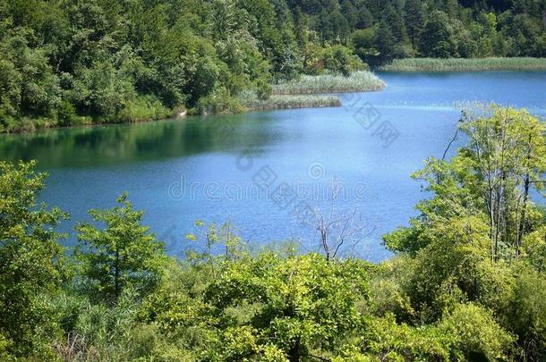 湖岸五彩缤纷、生机勃勃的景观。 宁静的景观作为背景有用。 下湖峡谷。 普利特夫湖国家