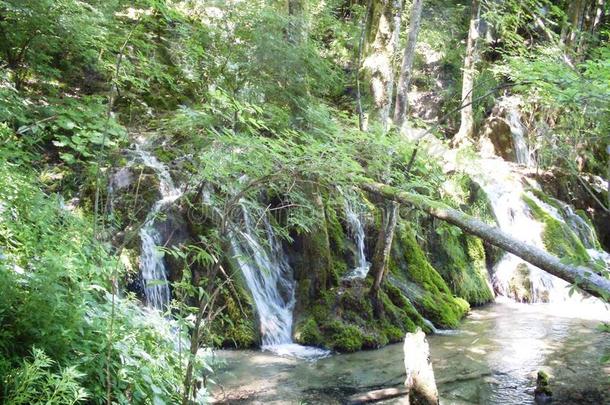 湖岸五彩缤纷、生机勃勃的景观。 宁静的景观作为背景有用。 下湖峡谷。 普利特夫湖国家