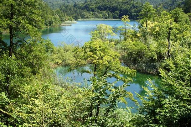 湖岸五彩缤纷、生机勃勃的景观。 宁静的景观作为背景有用。 下湖峡谷。 普利特夫湖国家