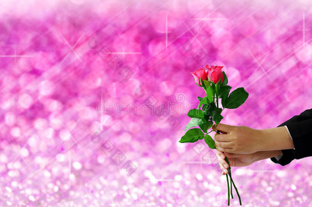 双手捧着玫瑰在粉红色的灯光，节日模糊的波克巴