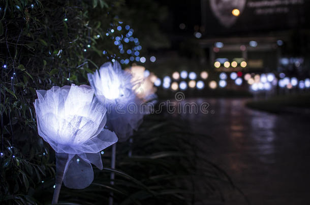 许多点燃的玫瑰花在东大门设计广场在UD镇，Udthani泰国夜间。