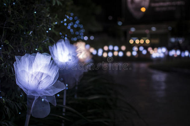 许多点燃的玫瑰花在东大门设计广场在UD镇，Udthani泰国夜间。