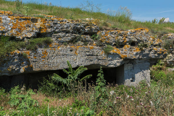 山中的古老矿山。 奥普斯基保护区位于科尔奇半岛南岸。