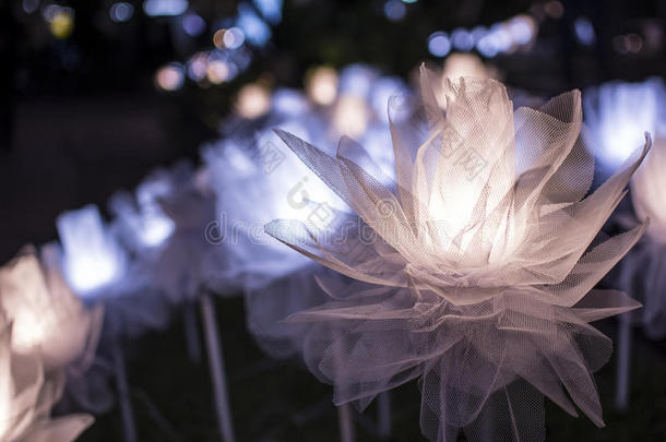 许多点燃的玫瑰花在东大门设计广场在UD镇，Udthani泰国夜间。