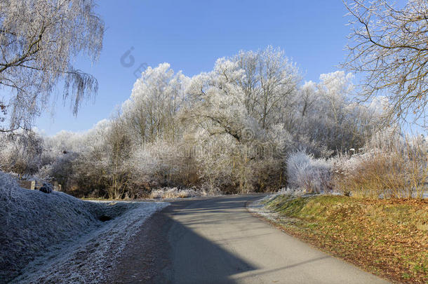 捷克共和国波希米亚，童话般的雪冻冬季乡村，蓝天