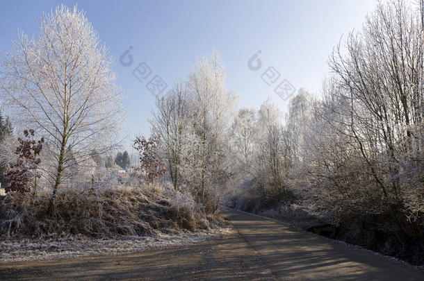捷克共和国波希米亚，童话般的雪冻冬季乡村，蓝天