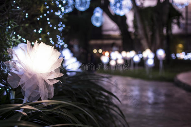 许多点燃的玫瑰花在东大门设计广场在UD镇，Udthani泰国夜间。