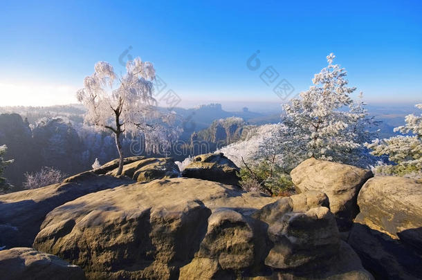 冬天的埃贝砂岩山，卡洛洛克