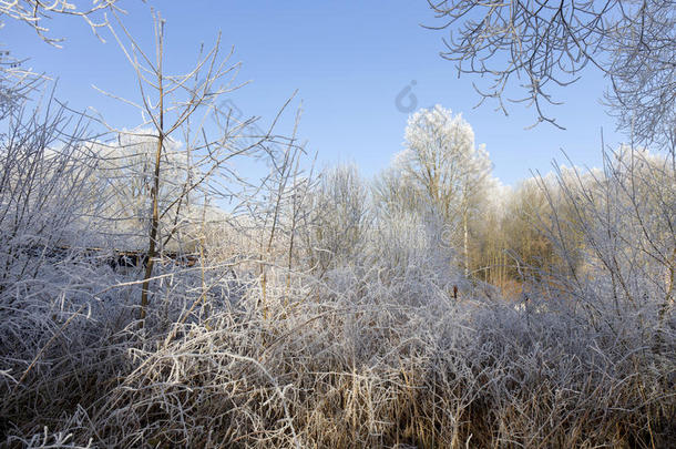 捷克共和国波希米亚，童话般的雪冻冬季乡村，蓝天