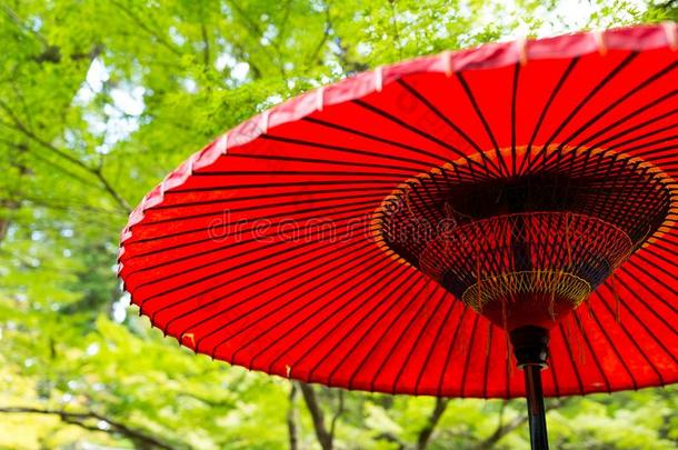 日本红伞