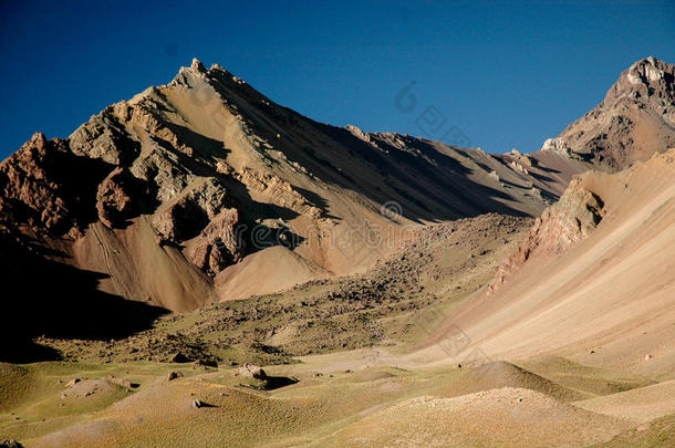乌头海拔高度美国安第斯山脉阿根廷