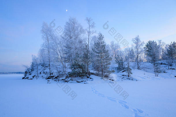 冰冻的树木和雪地上的脚印