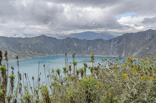 海拔高度美国安第斯山脉微博神器干旱的