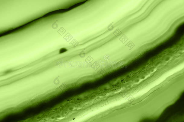 抽象背景-绿色玛瑙片矿物宏观潘通绿色植物
