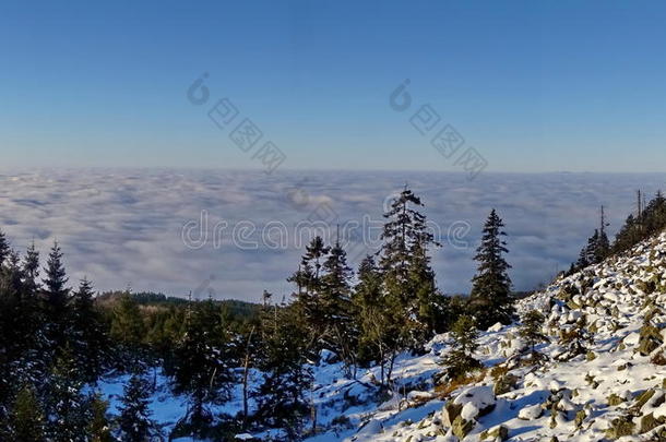 冬天山林里五颜六色的风景