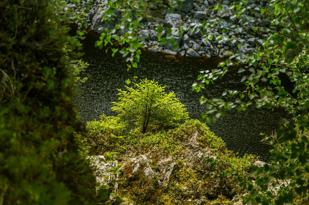 美丽的<strong>湖光山色</strong>