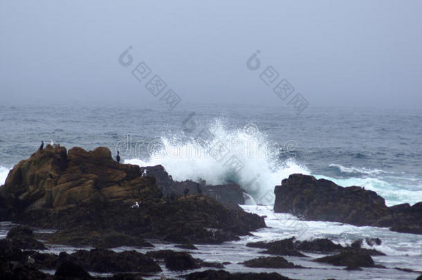 大苏尔，加州，美国-2014年10月7日：巨大的海浪破碎在岩石在菲弗州立公园在加州沿线