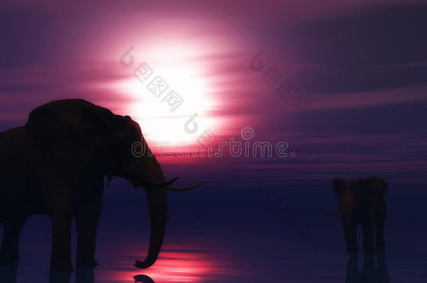 海洋中的3D大象对抗日落的天空