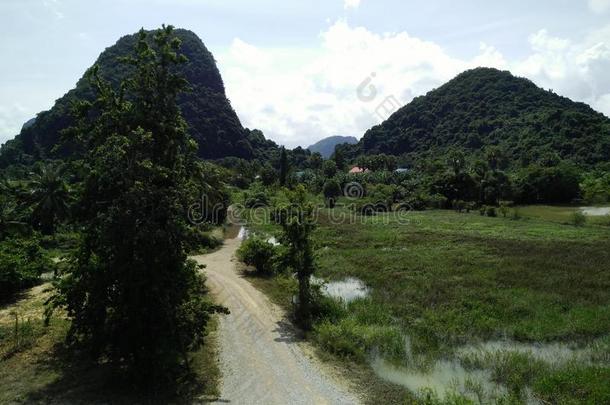 背景生物群系云森林草