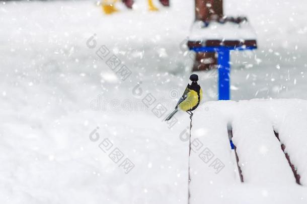 大乳头坐在冬天公园雪覆盖的长凳上，暴风雪。