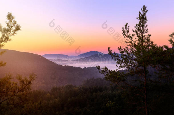 达纳费尔森兰森林假日风景