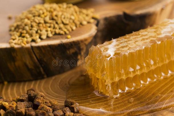 营养养蜂场养蜂蜜蜂经典的